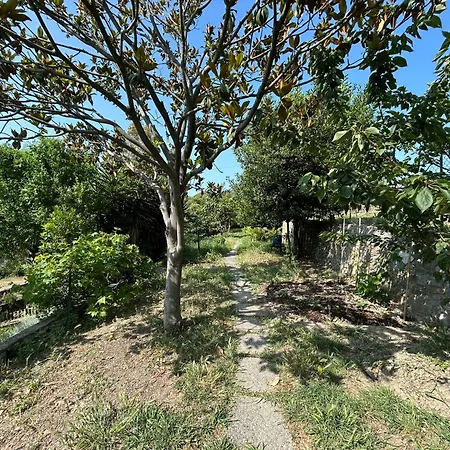 Ca' Clementine Sasso di Bordighera